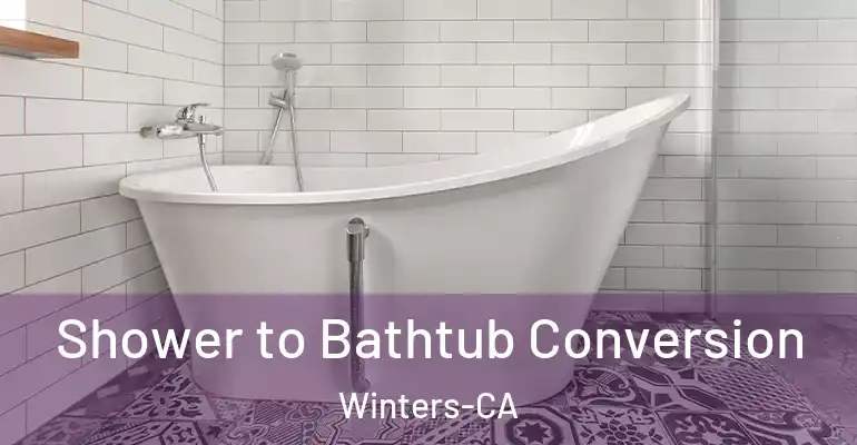 inner Bathroom imggen Shower to Bathtub Conversion Winters-CA
