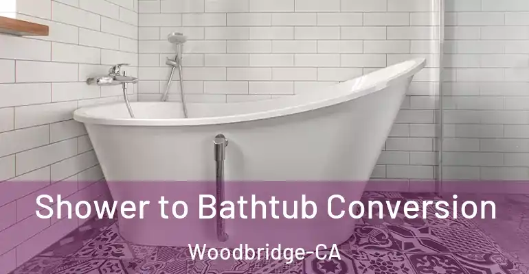inner Bathroom imggen Shower to Bathtub Conversion Woodbridge-CA