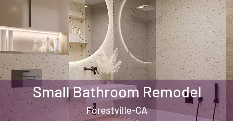 inner Bathroom imggen Small Bathroom Remodel Forestville-CA