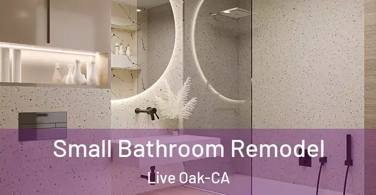 inner Bathroom imggen Small Bathroom Remodel Live Oak-CA