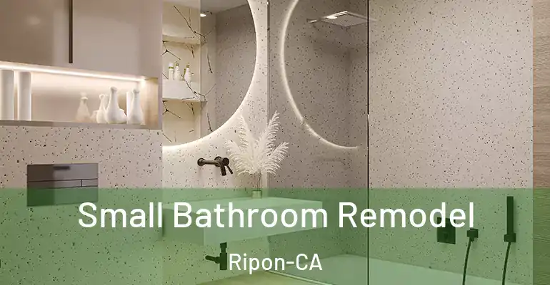 inner Bathroom imggen Small Bathroom Remodel Ripon-CA