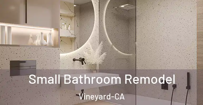 inner Bathroom imggen Small Bathroom Remodel Vineyard-CA