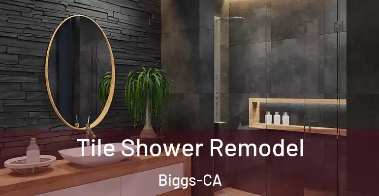 inner Bathroom imggen Tile Shower Remodel Biggs-CA