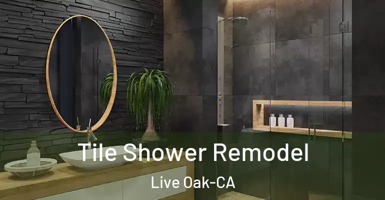 inner Bathroom imggen Tile Shower Remodel Live Oak-CA