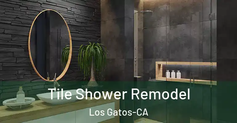 inner Bathroom imggen Tile Shower Remodel Los Gatos-CA