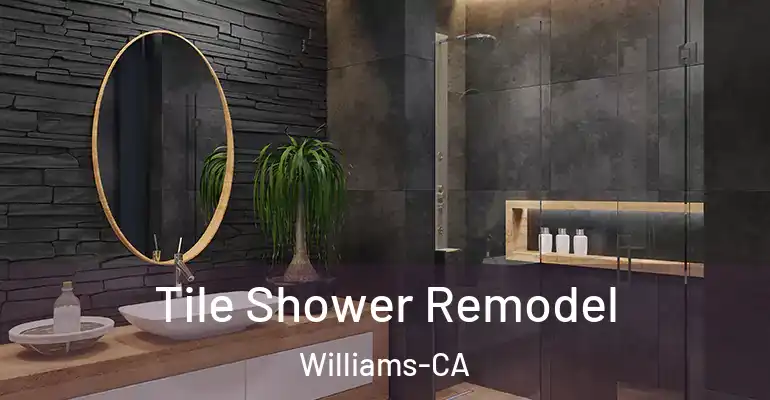 inner Bathroom imggen Tile Shower Remodel Williams-CA