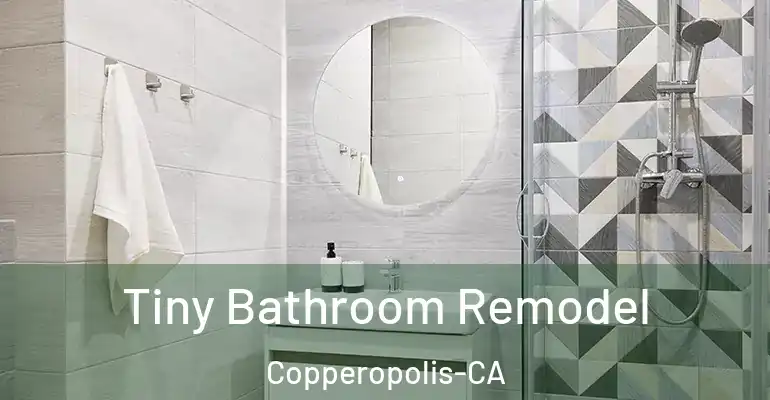 inner Bathroom imggen Tiny Bathroom Remodel Copperopolis-CA