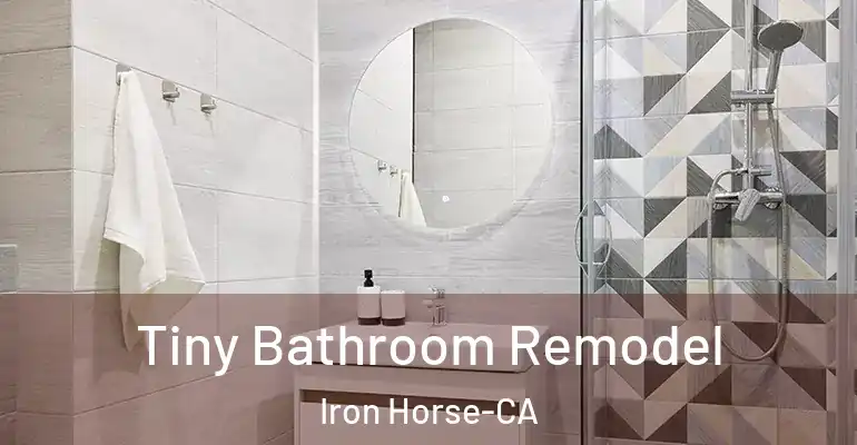 inner Bathroom imggen Tiny Bathroom Remodel Iron Horse-CA