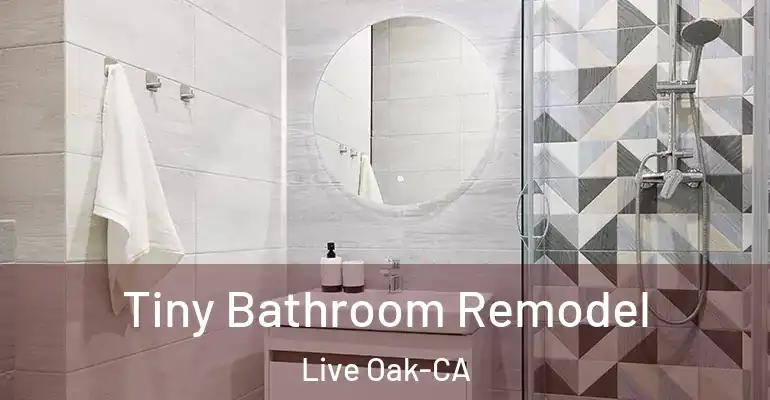 inner Bathroom imggen Tiny Bathroom Remodel Live Oak-CA