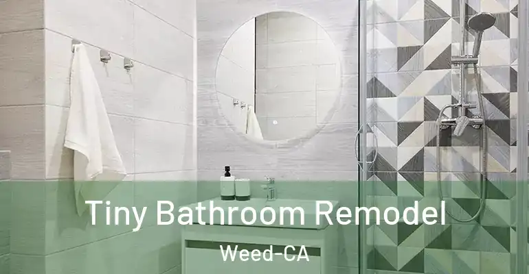 inner Bathroom imggen Tiny Bathroom Remodel Weed-CA