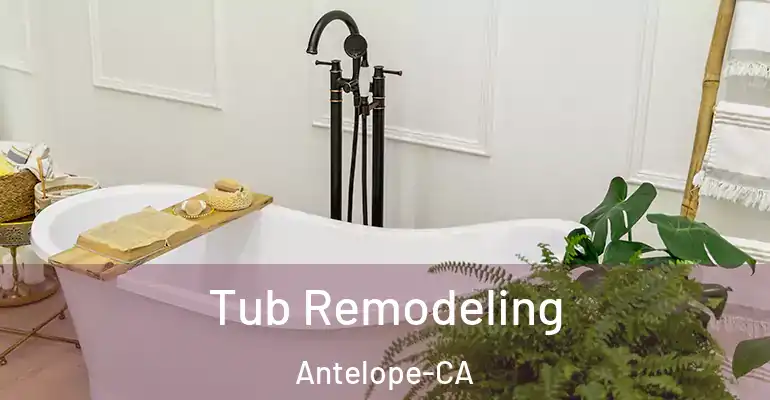 inner Bathroom imggen Tub Remodeling Antelope-CA