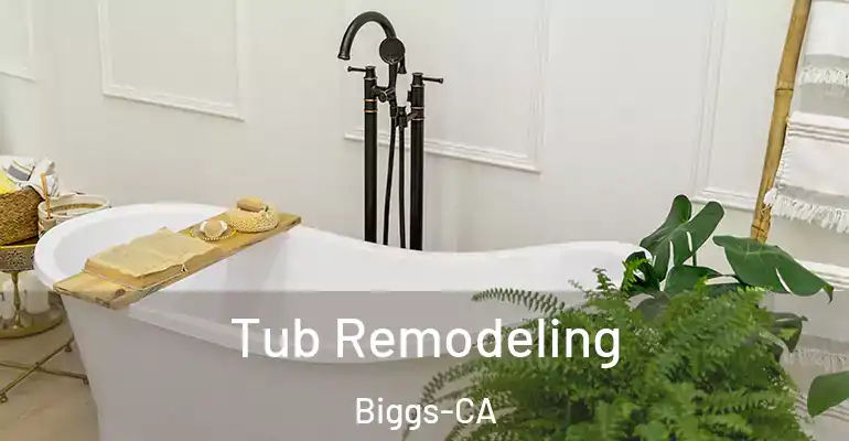 inner Bathroom imggen Tub Remodeling Biggs-CA