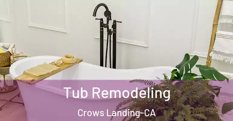 inner Bathroom imggen Tub Remodeling Crows Landing-CA