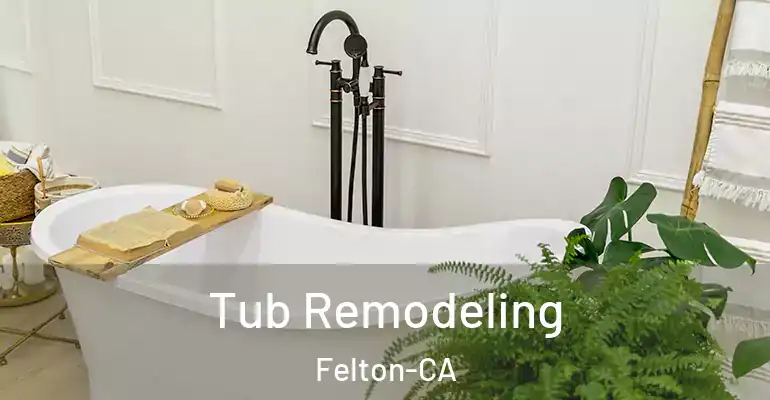 inner Bathroom imggen Tub Remodeling Felton-CA