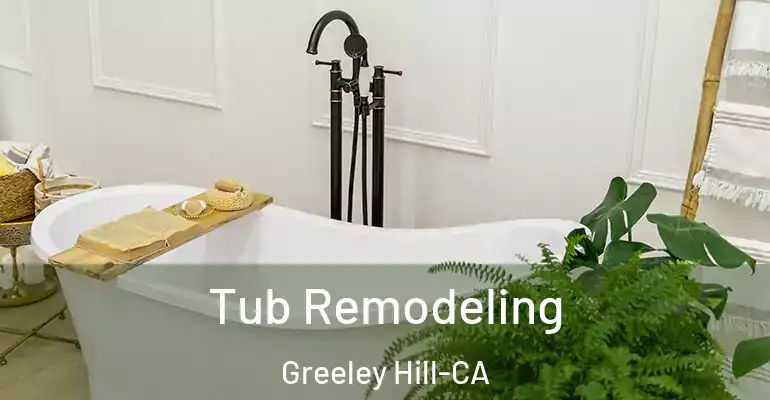 inner Bathroom imggen Tub Remodeling Greeley Hill-CA