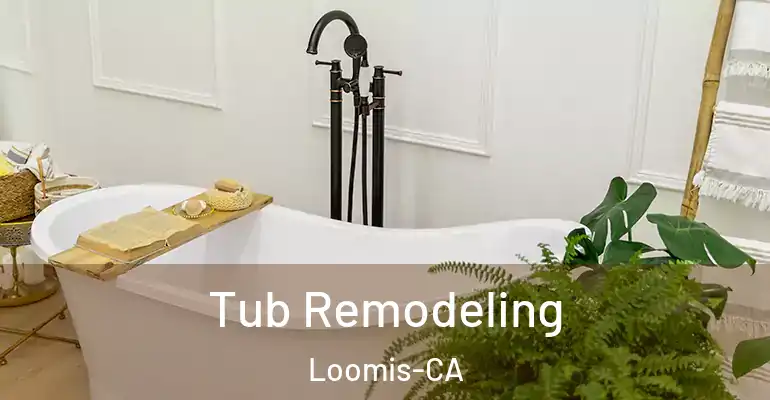 inner Bathroom imggen Tub Remodeling Loomis-CA