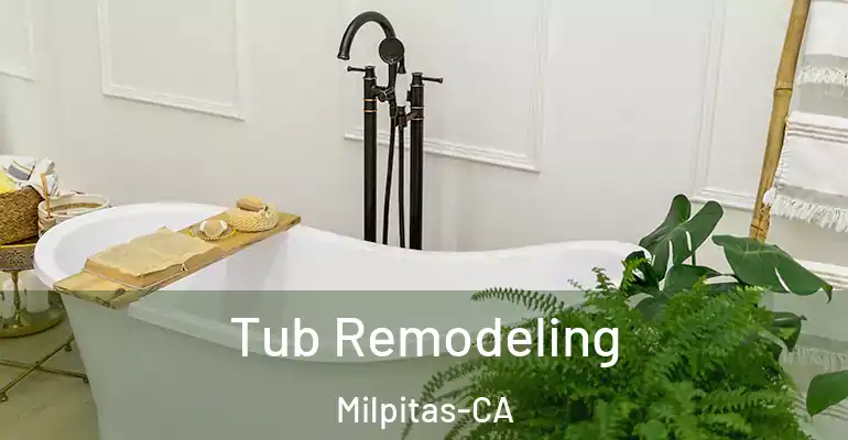 inner Bathroom imggen Tub Remodeling Milpitas-CA