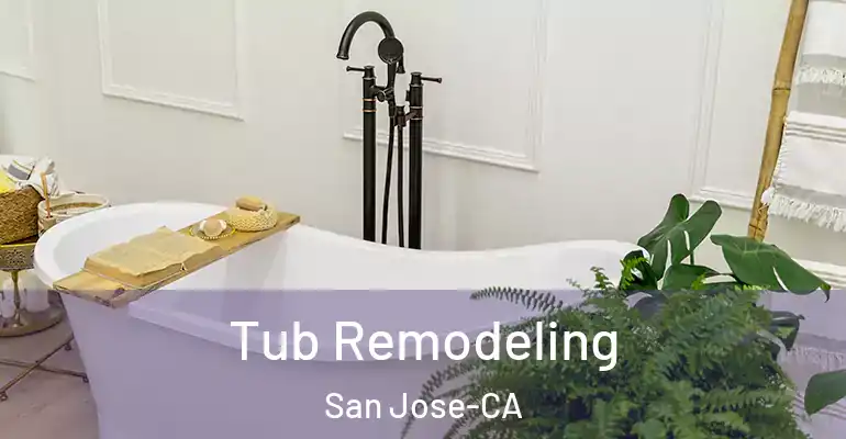 inner Bathroom imggen Tub Remodeling San Jose-CA