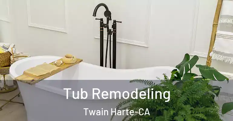 inner Bathroom imggen Tub Remodeling Twain Harte-CA