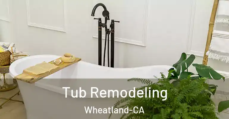 inner Bathroom imggen Tub Remodeling Wheatland-CA