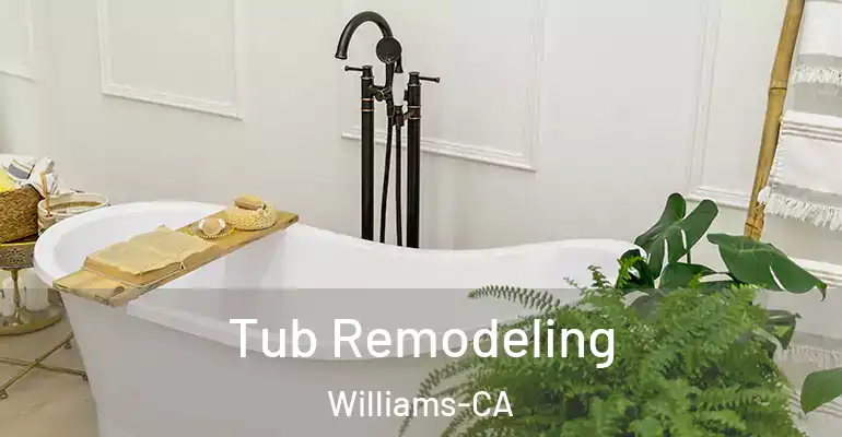 inner Bathroom imggen Tub Remodeling Williams-CA