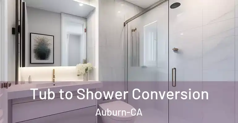 inner Bathroom imggen Tub to Shower Conversion Auburn-CA