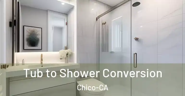inner Bathroom imggen Tub to Shower Conversion Chico-CA