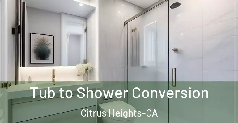 inner Bathroom imggen Tub to Shower Conversion Citrus Heights-CA