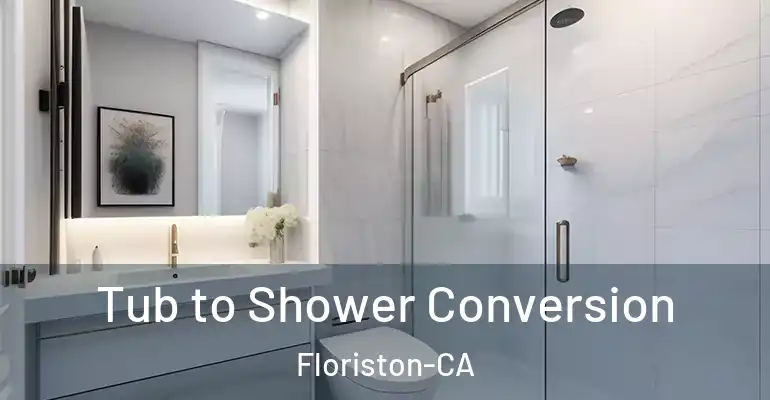 inner Bathroom imggen Tub to Shower Conversion Floriston-CA