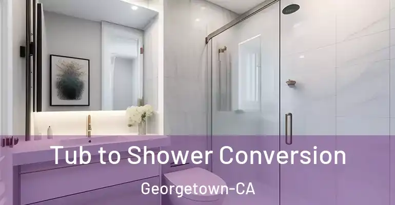 inner Bathroom imggen Tub to Shower Conversion Georgetown-CA