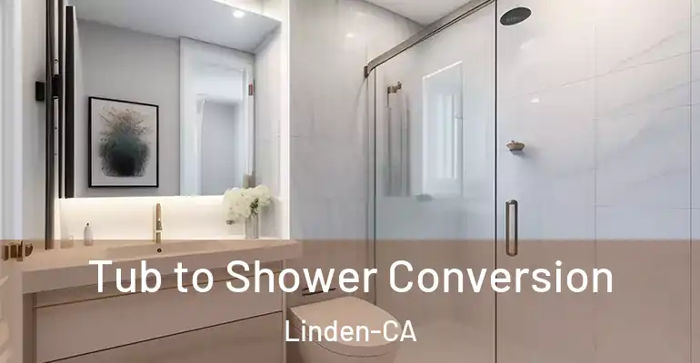 inner Bathroom imggen Tub to Shower Conversion Linden-CA