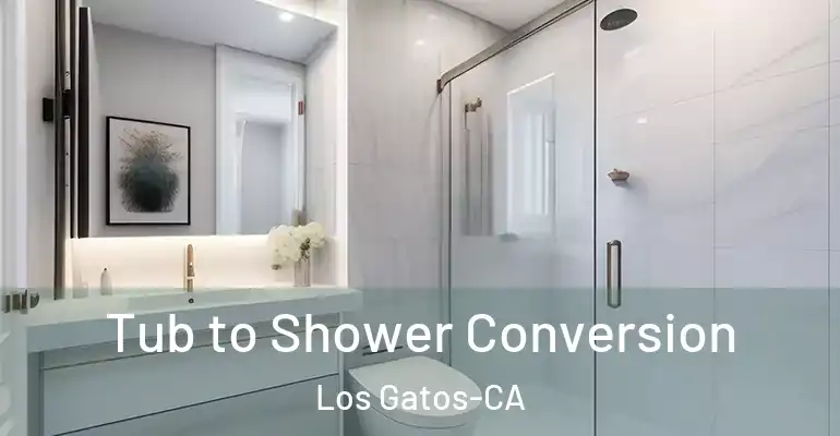 inner Bathroom imggen Tub to Shower Conversion Los Gatos-CA