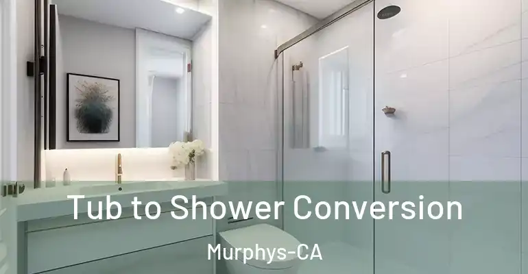inner Bathroom imggen Tub to Shower Conversion Murphys-CA