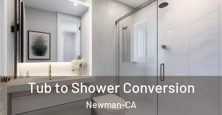 inner Bathroom imggen Tub to Shower Conversion Newman-CA