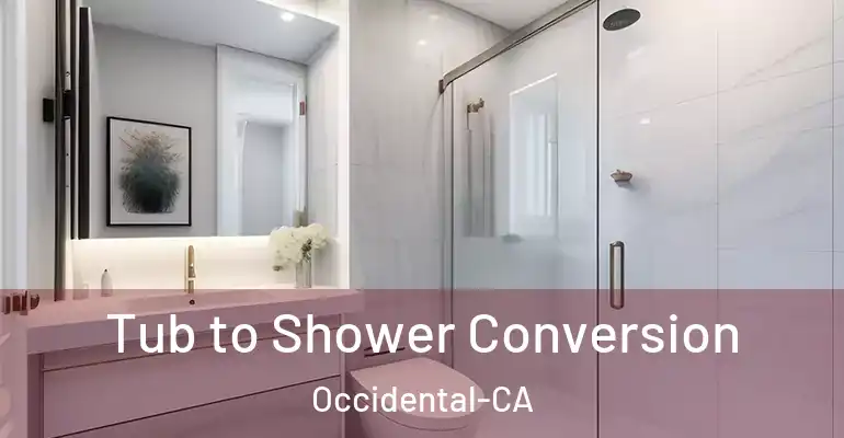 inner Bathroom imggen Tub to Shower Conversion Occidental-CA