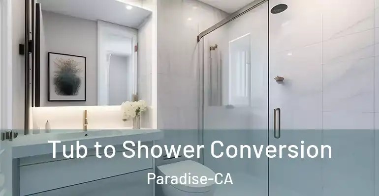 inner Bathroom imggen Tub to Shower Conversion Paradise-CA