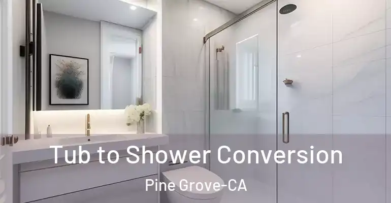 inner Bathroom imggen Tub to Shower Conversion Pine Grove-CA