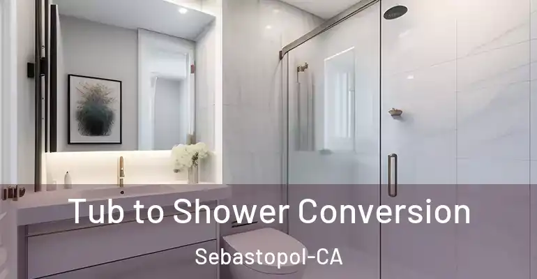 inner Bathroom imggen Tub to Shower Conversion Sebastopol-CA