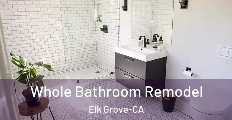 inner Bathroom imggen Whole Bathroom Remodel Elk Grove-CA