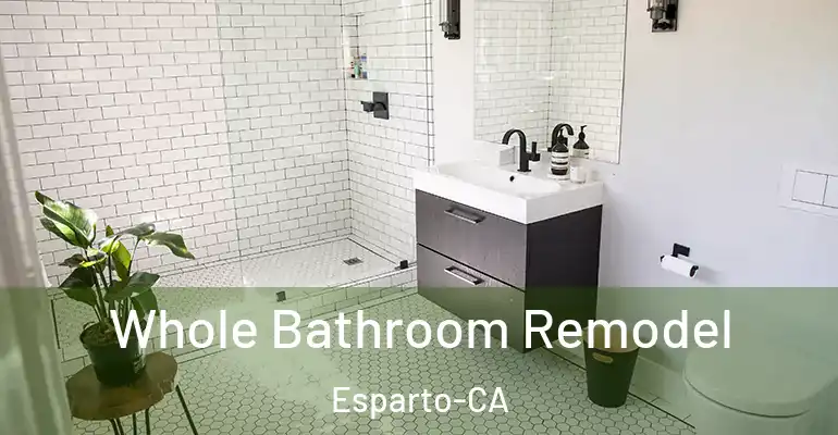 inner Bathroom imggen Whole Bathroom Remodel Esparto-CA