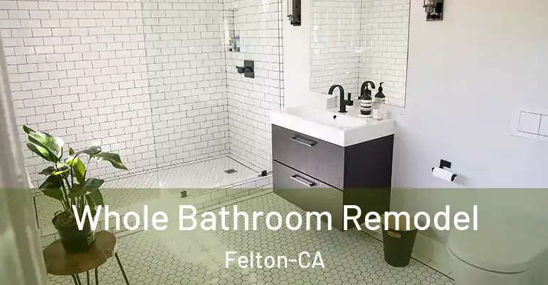 inner Bathroom imggen Whole Bathroom Remodel Felton-CA