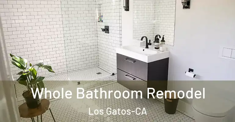 inner Bathroom imggen Whole Bathroom Remodel Los Gatos-CA