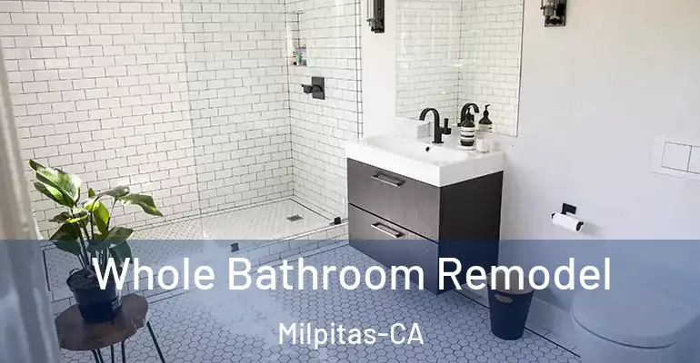 inner Bathroom imggen Whole Bathroom Remodel Milpitas-CA