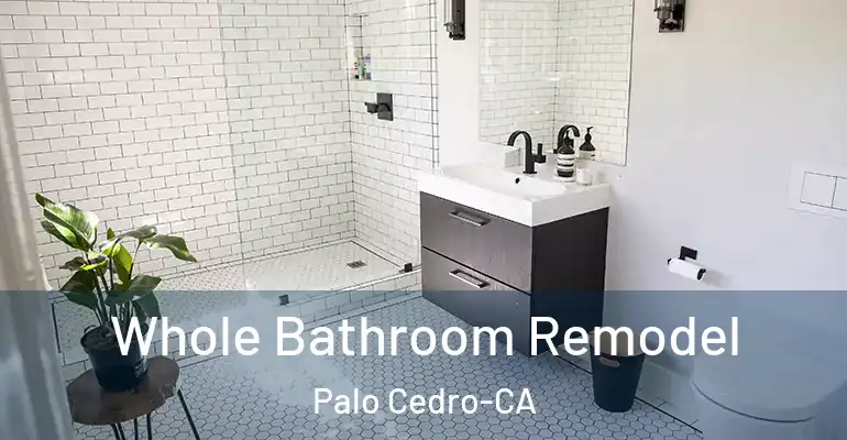 inner Bathroom imggen Whole Bathroom Remodel Palo Cedro-CA