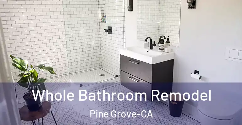 inner Bathroom imggen Whole Bathroom Remodel Pine Grove-CA