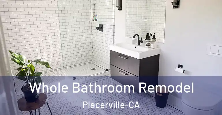 inner Bathroom imggen Whole Bathroom Remodel Placerville-CA