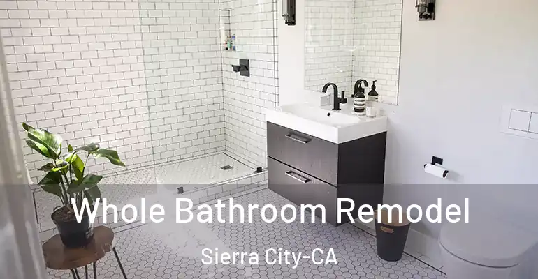 inner Bathroom imggen Whole Bathroom Remodel Sierra City-CA