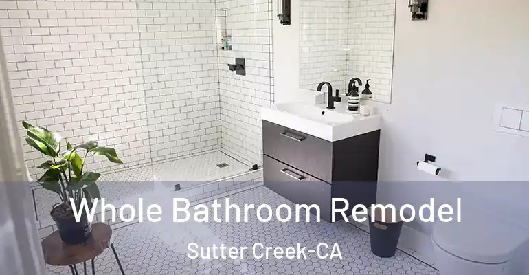 inner Bathroom imggen Whole Bathroom Remodel Sutter Creek-CA