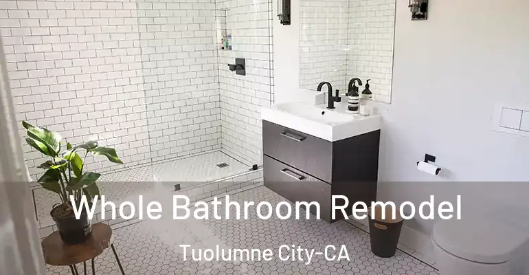 inner Bathroom imggen Whole Bathroom Remodel Tuolumne City-CA