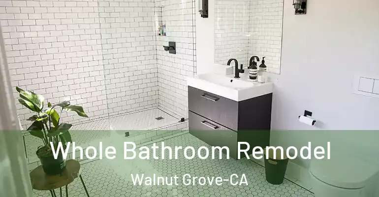 inner Bathroom imggen Whole Bathroom Remodel Walnut Grove-CA